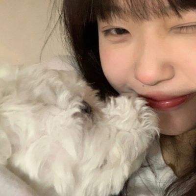 历史娘王女大人的反击游戏下载
